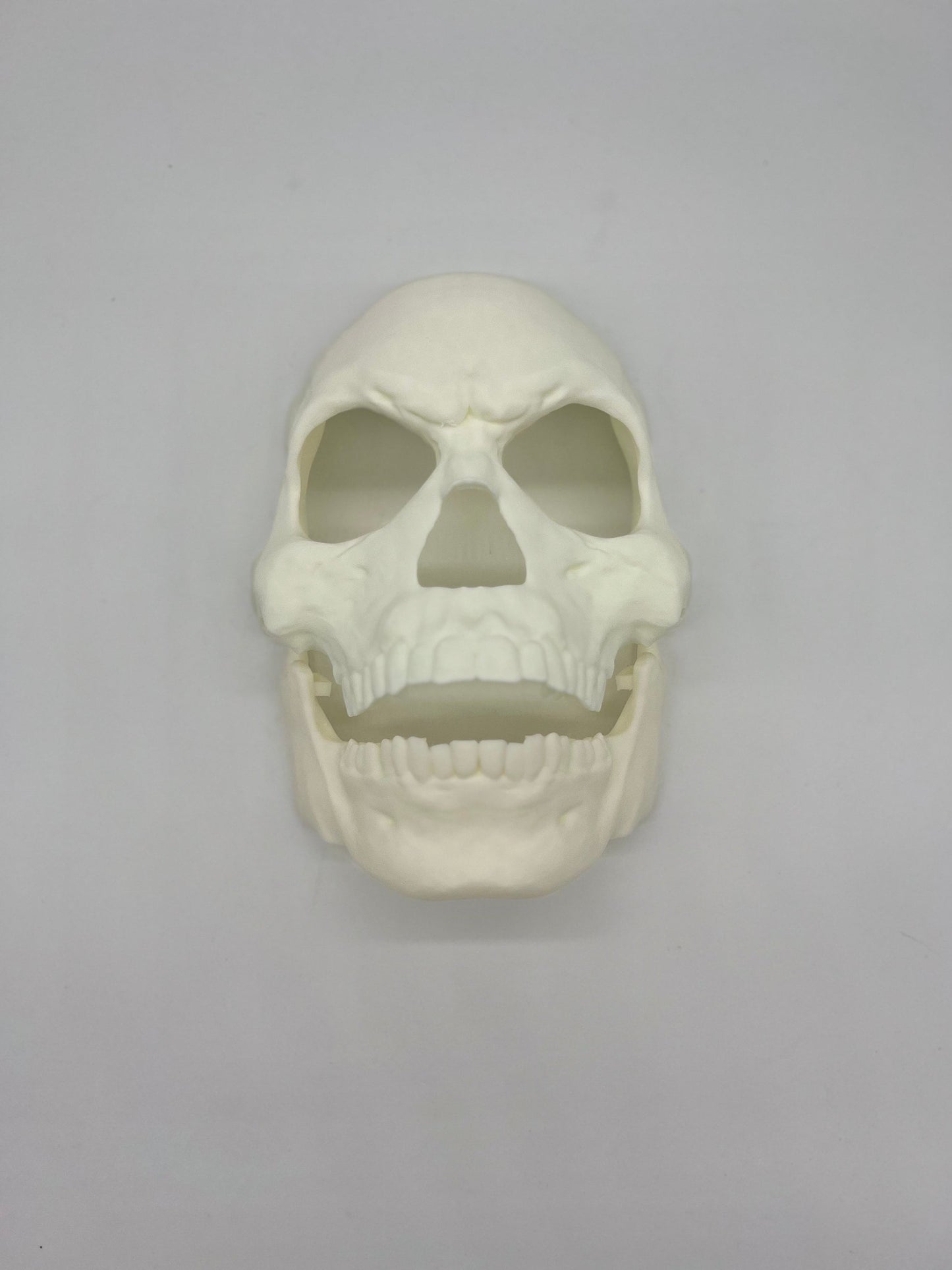 Skull Halloween Mask