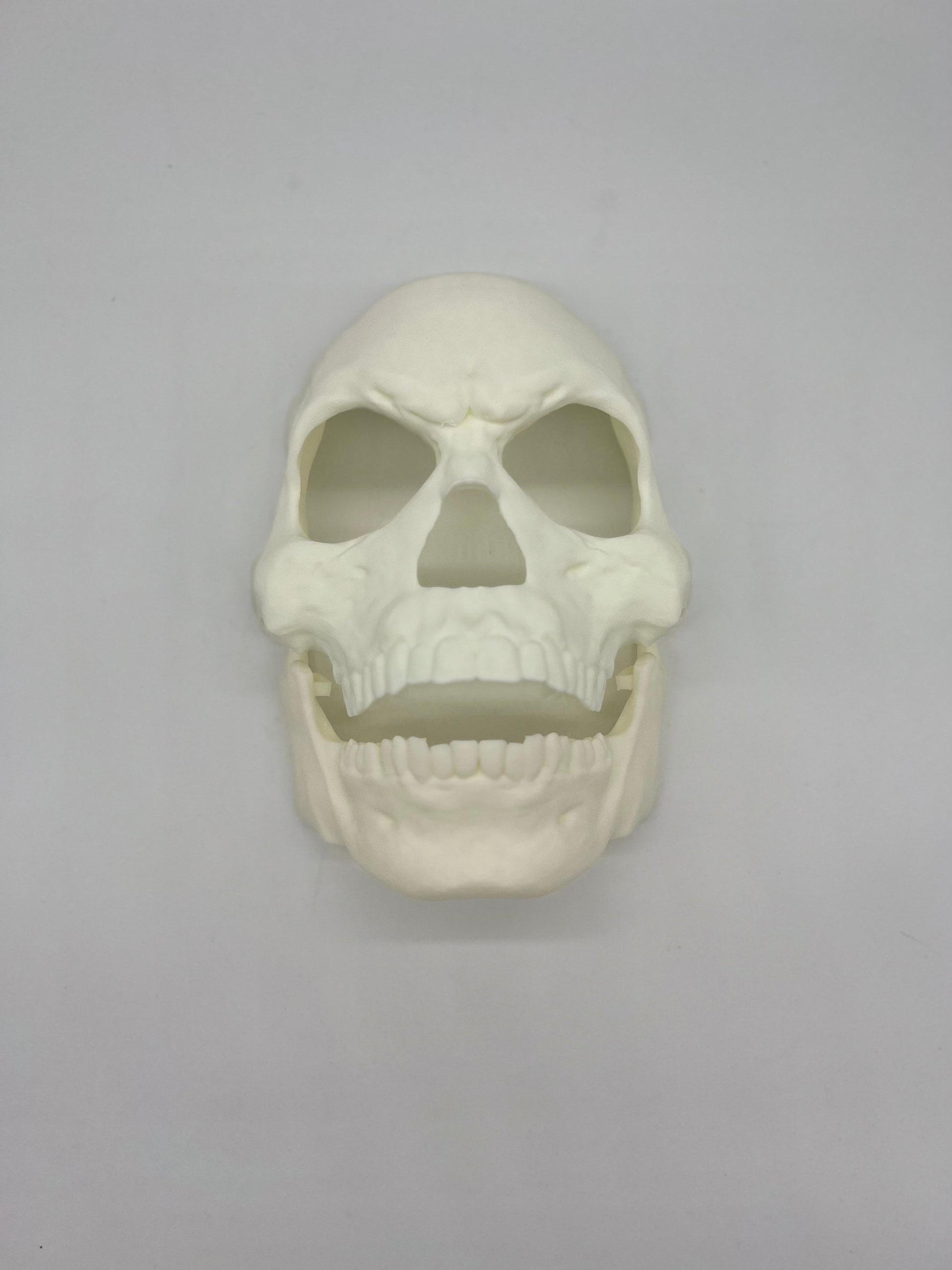 Skull Halloween Mask