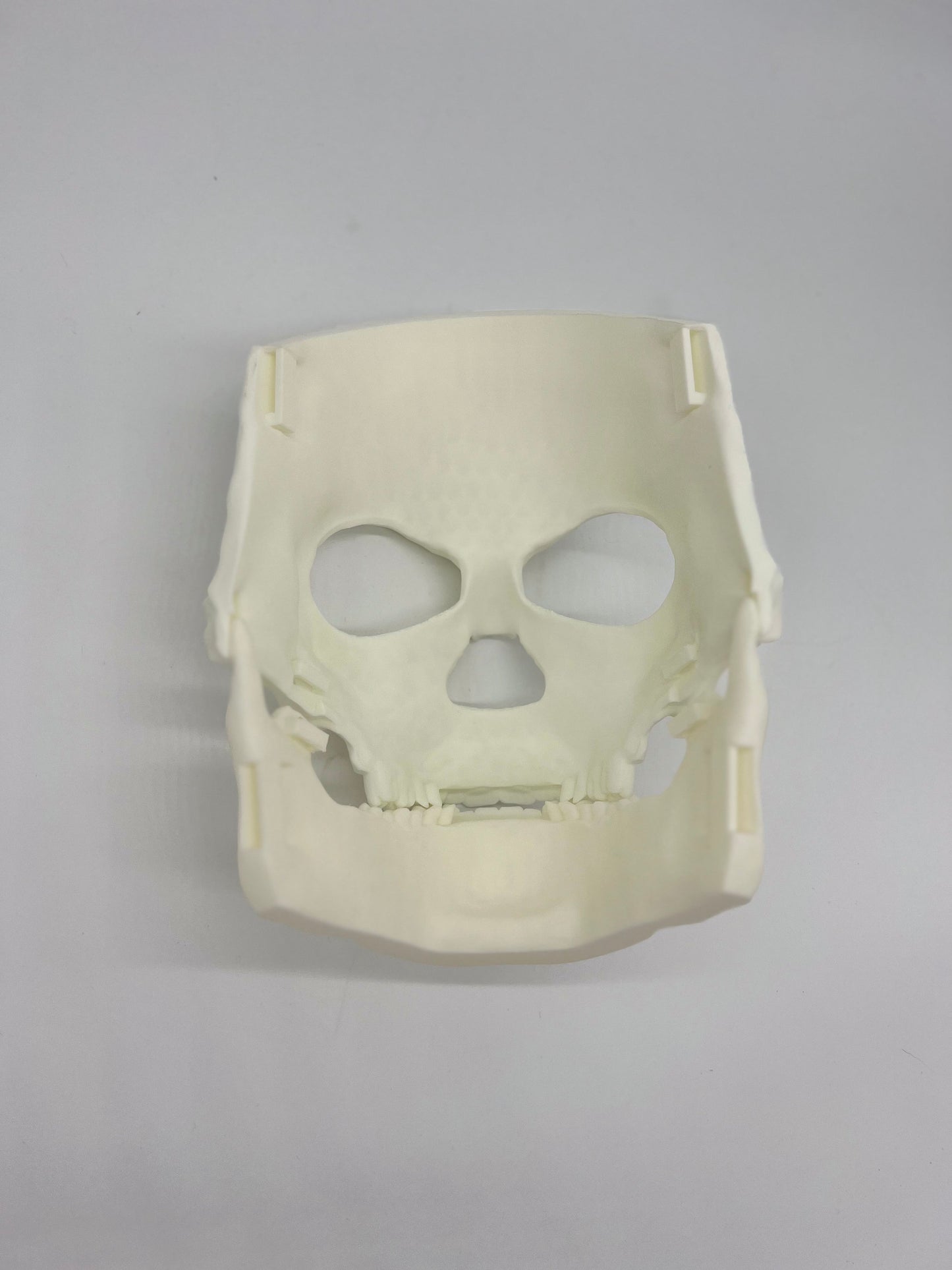 Skull Halloween Mask