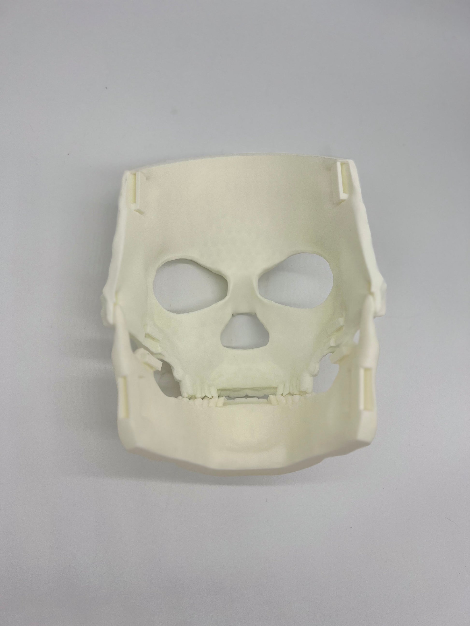 Skull Halloween Mask