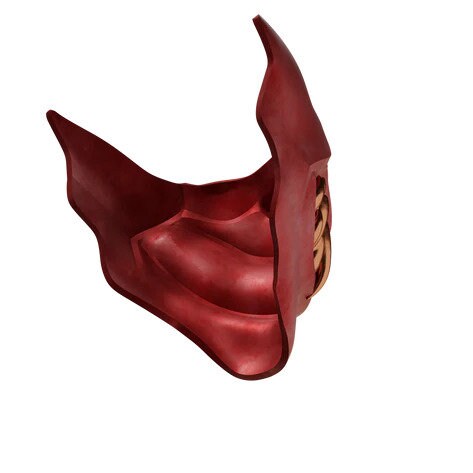 Ninja Kamui Cosplay Mask