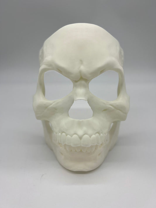Skull Halloween Mask